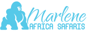 Marlene Africa Safaris